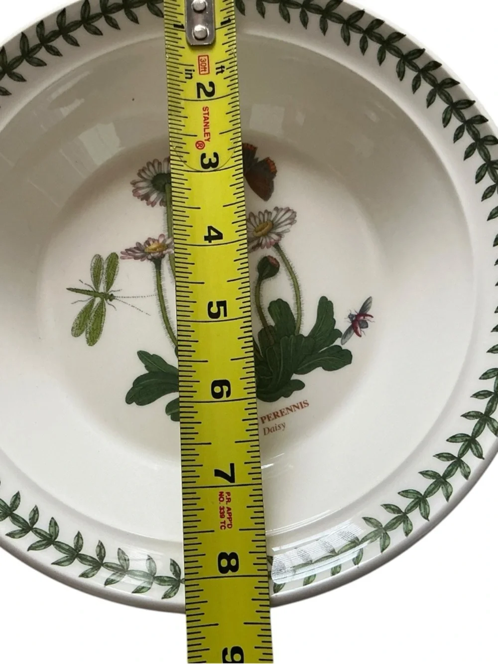 portmeirian botanical garden daisy rim soup/salad plate 8.5 inch